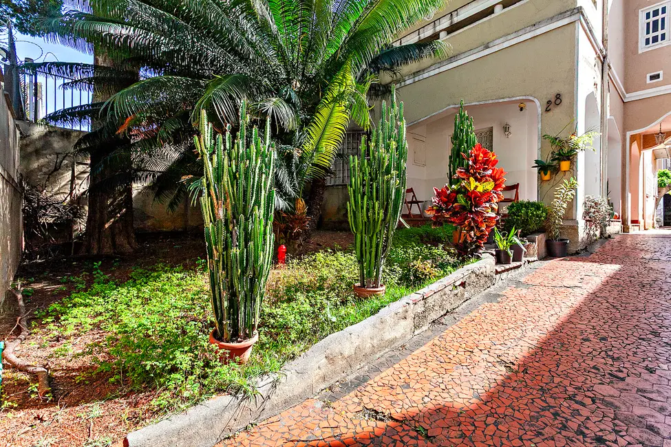 Foto 4 de Casa com 3 quartos à venda, 250m2 em Campos Elíseos, São Paulo - SP