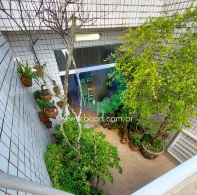 Casa com 4 quartos à venda, 228m2 em Aparecida, Santos - SP - imagem 3 Foto 3 de Casa com 4 quartos à venda, 228m2 em Aparecida, Santos - SP