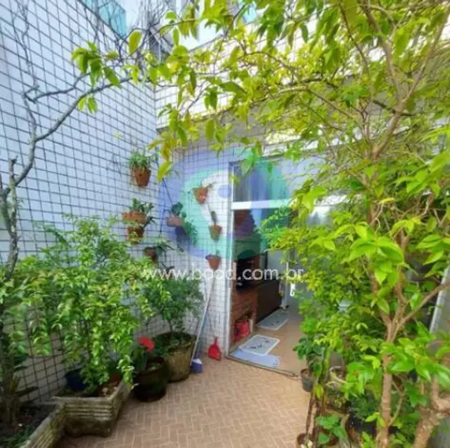 Casa com 4 quartos à venda, 228m2 em Aparecida, Santos - SP - imagem 4 Foto 4 de Casa com 4 quartos à venda, 228m2 em Aparecida, Santos - SP