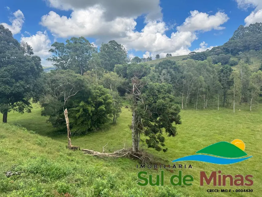 Foto 3 de Terreno / Lote à venda, 20000m2 em Bueno Brandao - MG