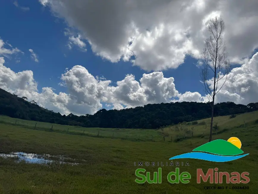 Foto 5 de Terreno / Lote à venda, 20000m2 em Bueno Brandao - MG