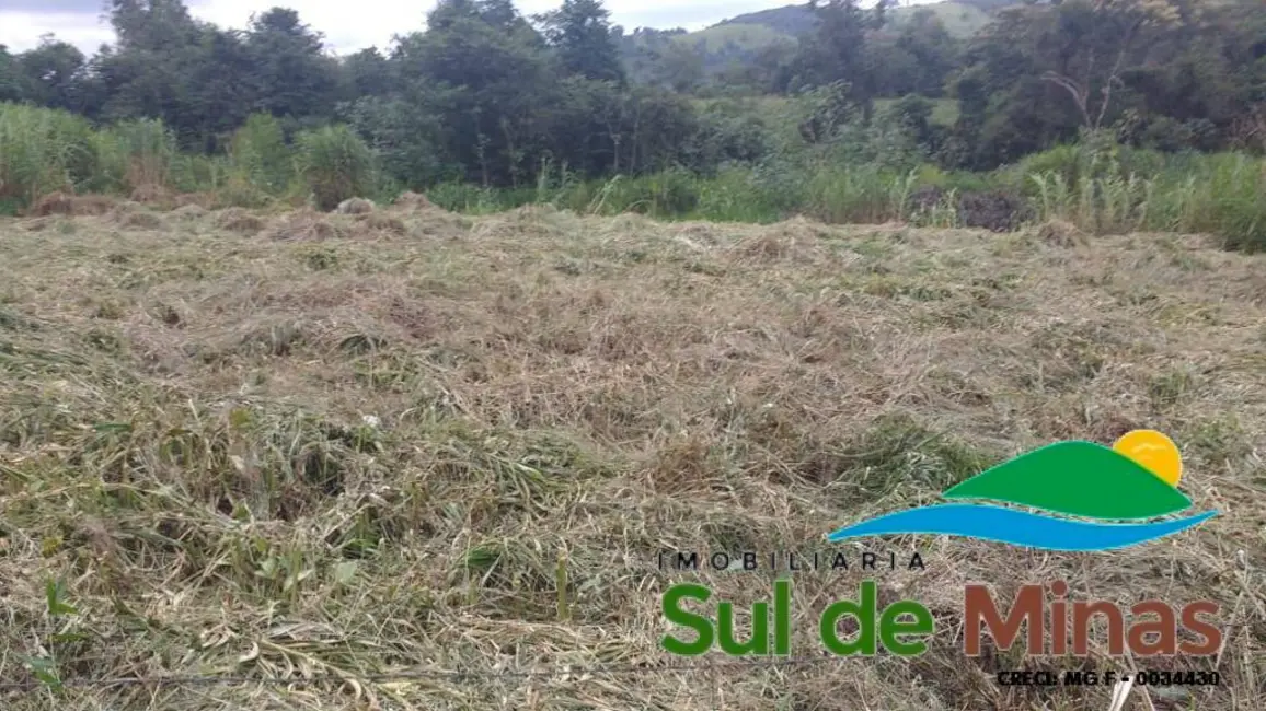 Sítio / Rancho à venda, 20000m2 em Centro, Bueno Brandao - MG - imagem 8 Foto 8 de Sítio / Rancho à venda, 20000m2 em Centro, Bueno Brandao - MG