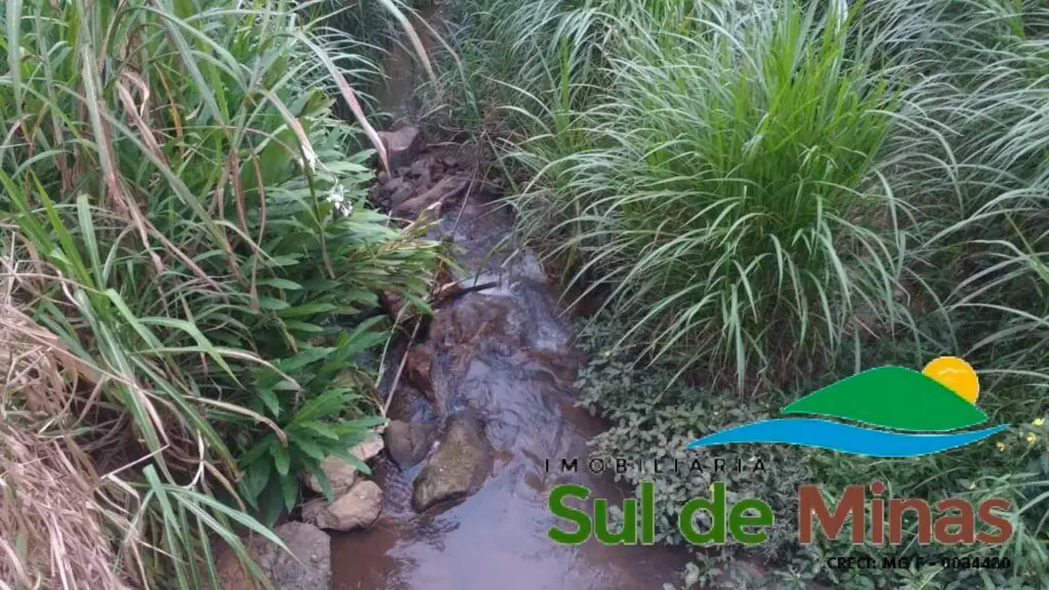 Sítio / Rancho à venda, 20000m2 em Centro, Bueno Brandao - MG - imagem 4 Foto 4 de Sítio / Rancho à venda, 20000m2 em Centro, Bueno Brandao - MG