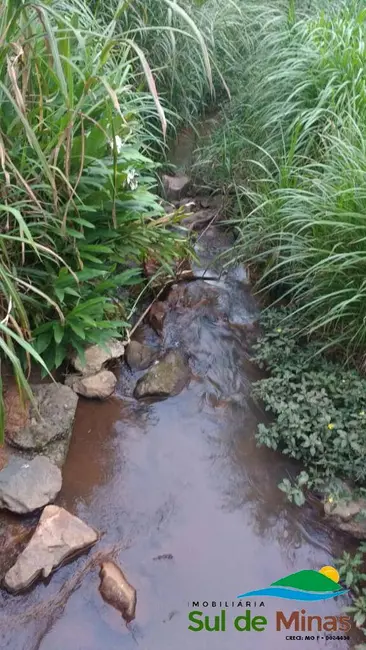 Sítio / Rancho à venda, 20000m2 em Centro, Bueno Brandao - MG - imagem 3 Foto 3 de Sítio / Rancho à venda, 20000m2 em Centro, Bueno Brandao - MG