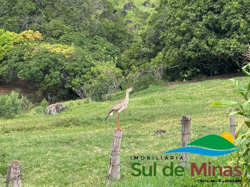 Foto 4 de Terreno / Lote à venda, 20000m2 em Centro, Bueno Brandao - MG