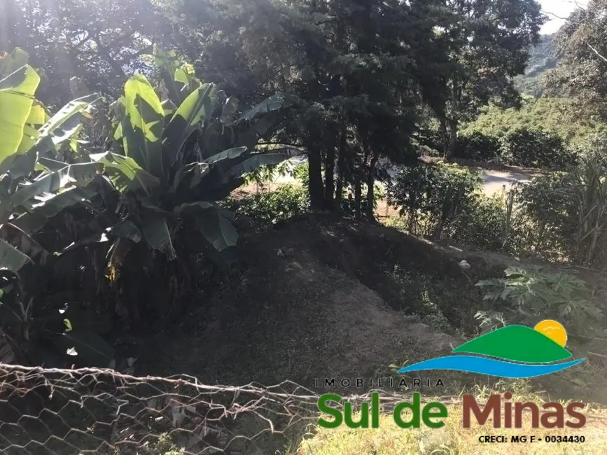 Chácara com 2 quartos à venda, 16000m2 em Centro, Bueno Brandao - MG - imagem 4 Foto 4 de Chácara com 2 quartos à venda, 16000m2 em Centro, Bueno Brandao - MG