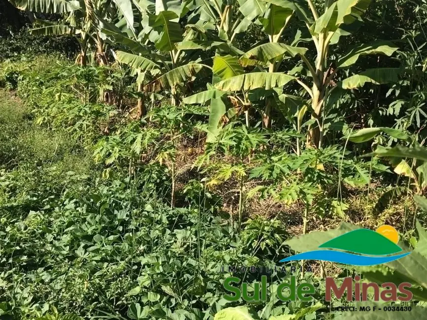 Chácara com 2 quartos à venda, 16000m2 em Centro, Bueno Brandao - MG - imagem 8 Foto 8 de Chácara com 2 quartos à venda, 16000m2 em Centro, Bueno Brandao - MG