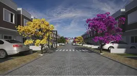 Imagem 5
