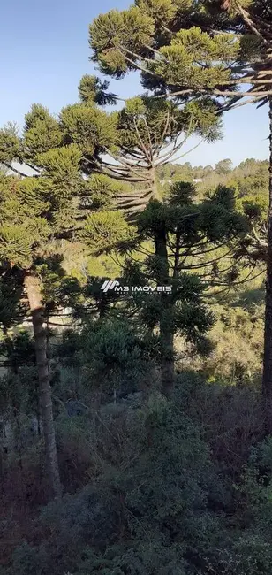 Apartamento com 2 quartos à venda, 60m2 em Salgado Filho, Caxias Do Sul - RS - imagem 4 Foto 4 de Apartamento com 2 quartos à venda, 60m2 em Salgado Filho, Caxias Do Sul - RS