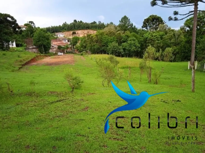 Foto 8 de Terreno / Lote à venda, 3785m2 em Agudos Do Sul - PR