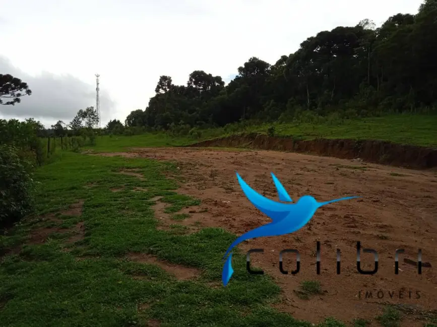 Foto 5 de Terreno / Lote à venda, 3785m2 em Agudos Do Sul - PR