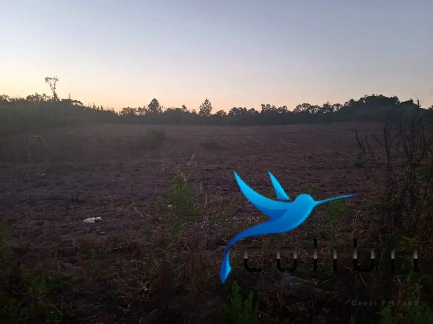 Foto 4 de Chácara à venda, 27225m2 em Agudos Do Sul - PR