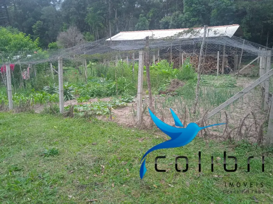 Foto 9 de Chácara com 4 quartos à venda, 13612m2 em Agudos Do Sul - PR