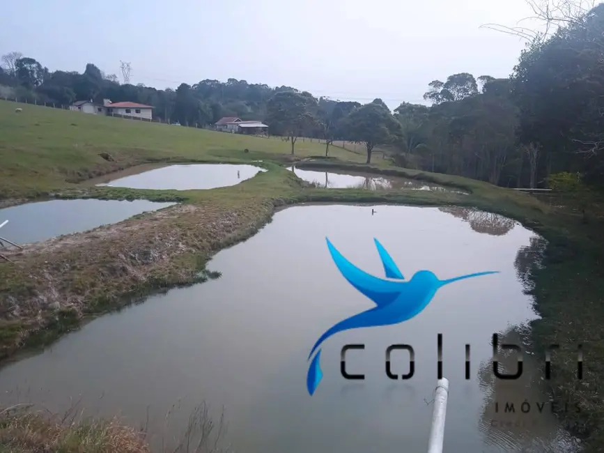 Foto 7 de Chácara com 3 quartos à venda, 26105m2 em Agudos Do Sul - PR