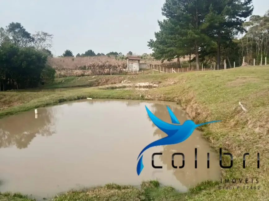 Foto 9 de Chácara com 3 quartos à venda, 26105m2 em Agudos Do Sul - PR