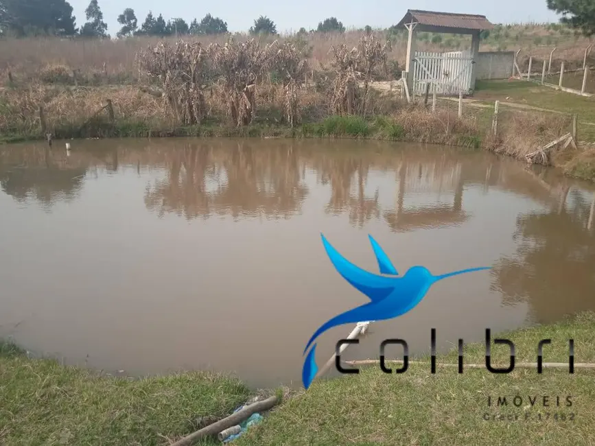 Foto 8 de Chácara com 3 quartos à venda, 26105m2 em Agudos Do Sul - PR