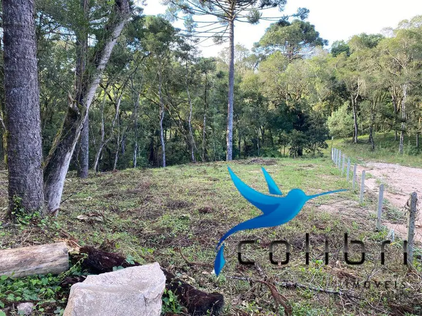 Foto 2 de Terreno / Lote à venda, 5810m2 em Leão, Agudos Do Sul - PR