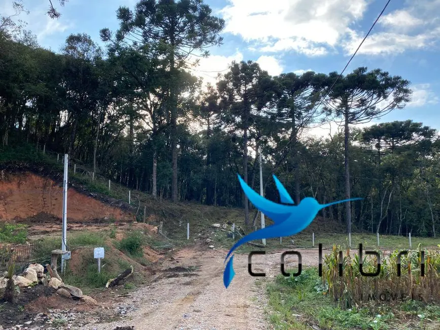 Foto 1 de Terreno / Lote à venda, 5810m2 em Leão, Agudos Do Sul - PR