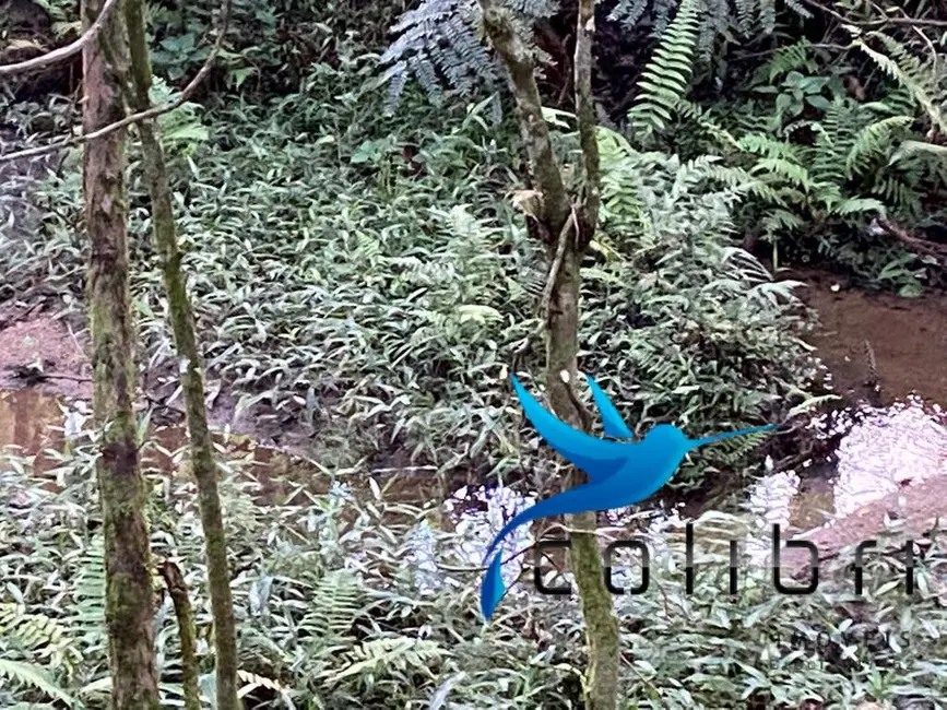 Foto 6 de Terreno / Lote à venda, 5810m2 em Leão, Agudos Do Sul - PR