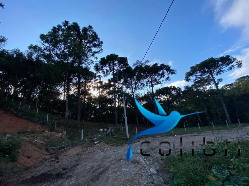 Foto 7 de Terreno / Lote à venda, 5810m2 em Leão, Agudos Do Sul - PR