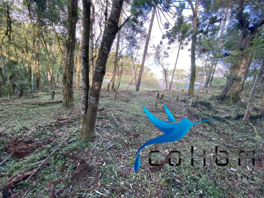 Foto 9 de Terreno / Lote à venda, 5810m2 em Leão, Agudos Do Sul - PR