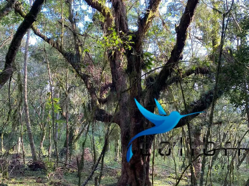Foto 8 de Terreno / Lote à venda, 5810m2 em Leão, Agudos Do Sul - PR
