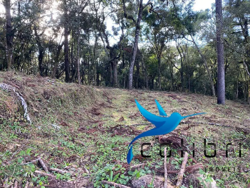 Foto 3 de Terreno / Lote à venda, 5810m2 em Leão, Agudos Do Sul - PR