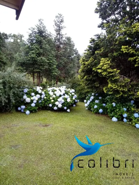 Foto 7 de Chácara com 6 quartos à venda, 87598m2 em Agudos Do Sul - PR