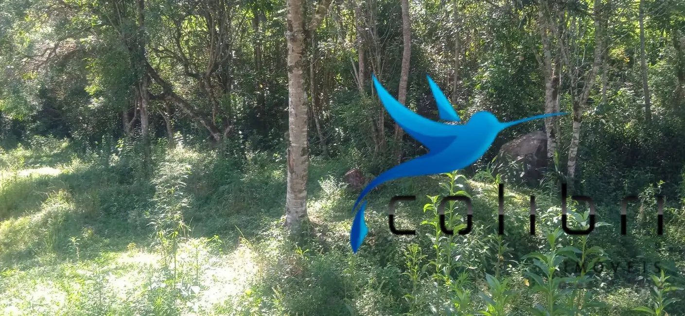 Foto 7 de Chácara com 3 quartos à venda, 10300m2 em Quitandinha - PR