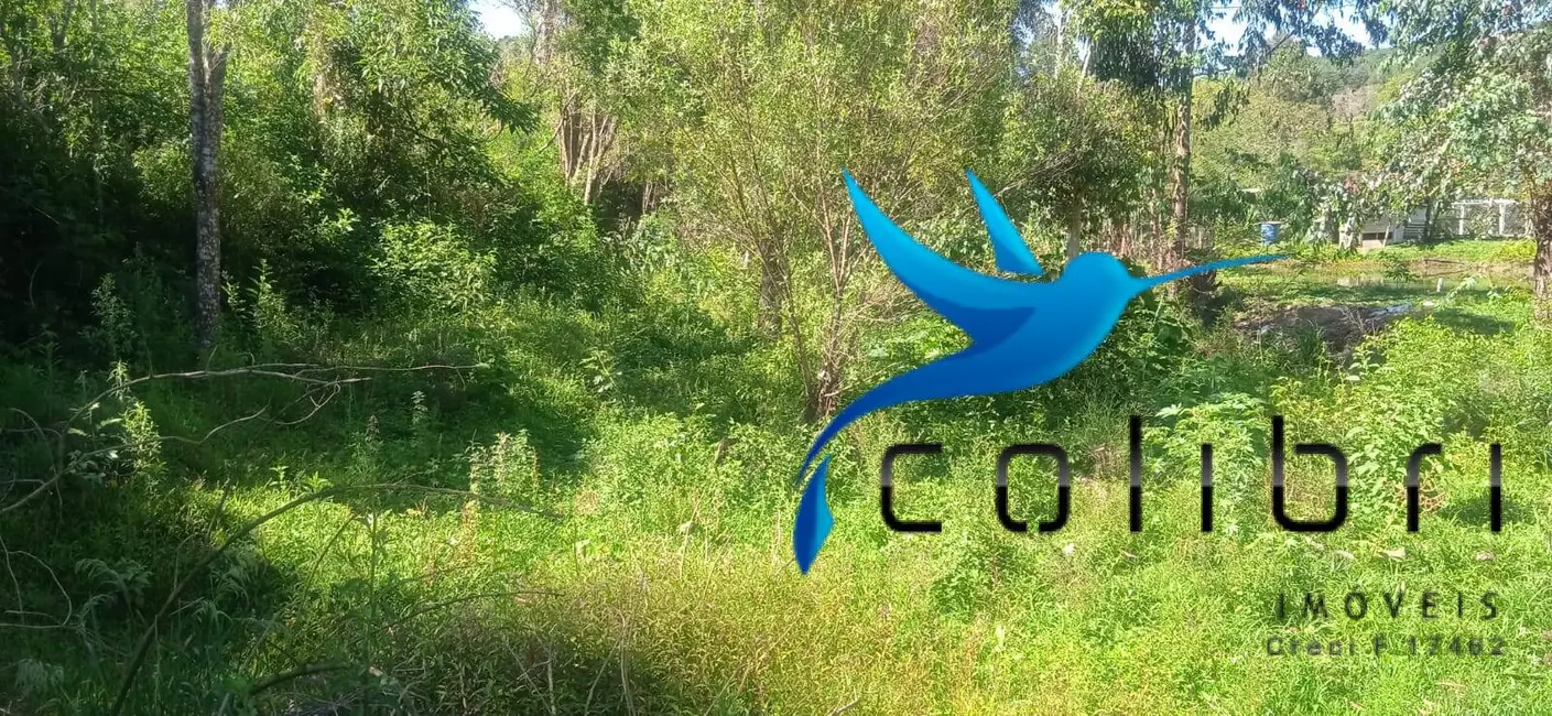 Foto 6 de Chácara com 3 quartos à venda, 10300m2 em Quitandinha - PR