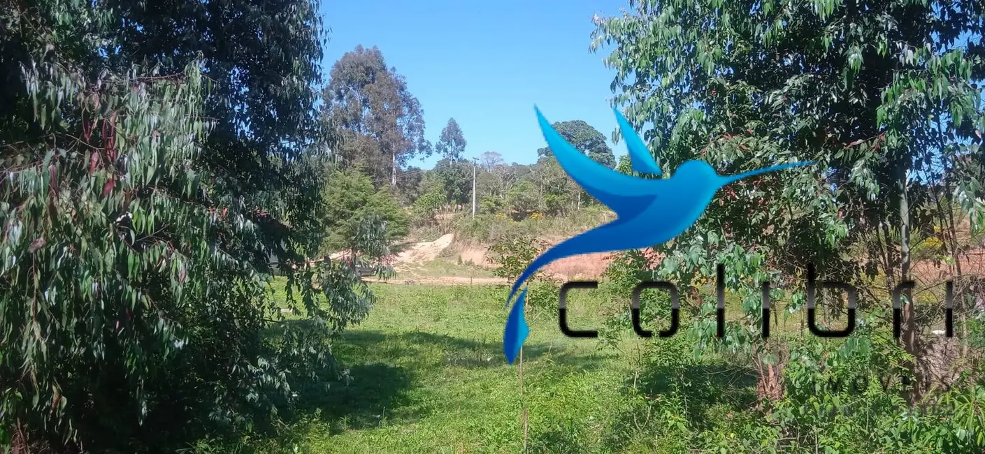 Foto 4 de Chácara com 3 quartos à venda, 10300m2 em Quitandinha - PR