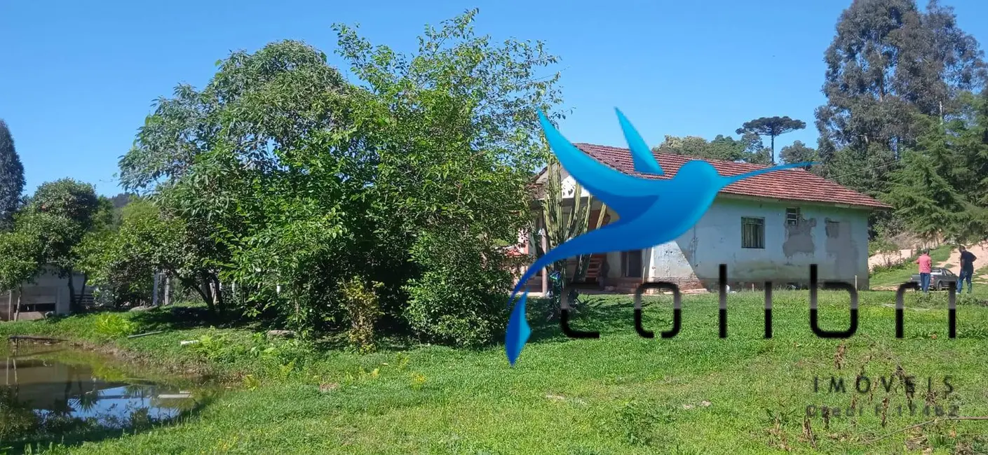 Foto 3 de Chácara com 3 quartos à venda, 10300m2 em Quitandinha - PR