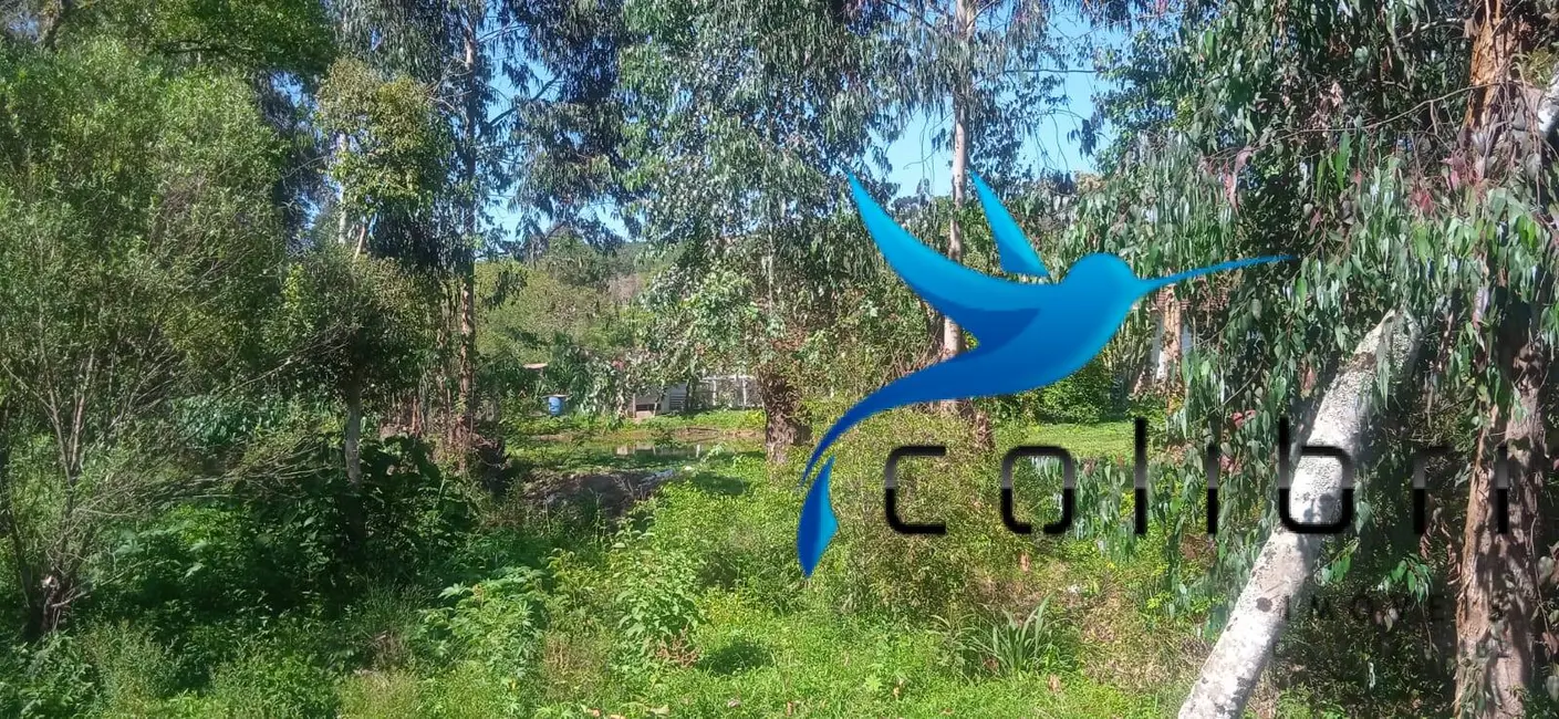 Foto 5 de Chácara com 3 quartos à venda, 10300m2 em Quitandinha - PR