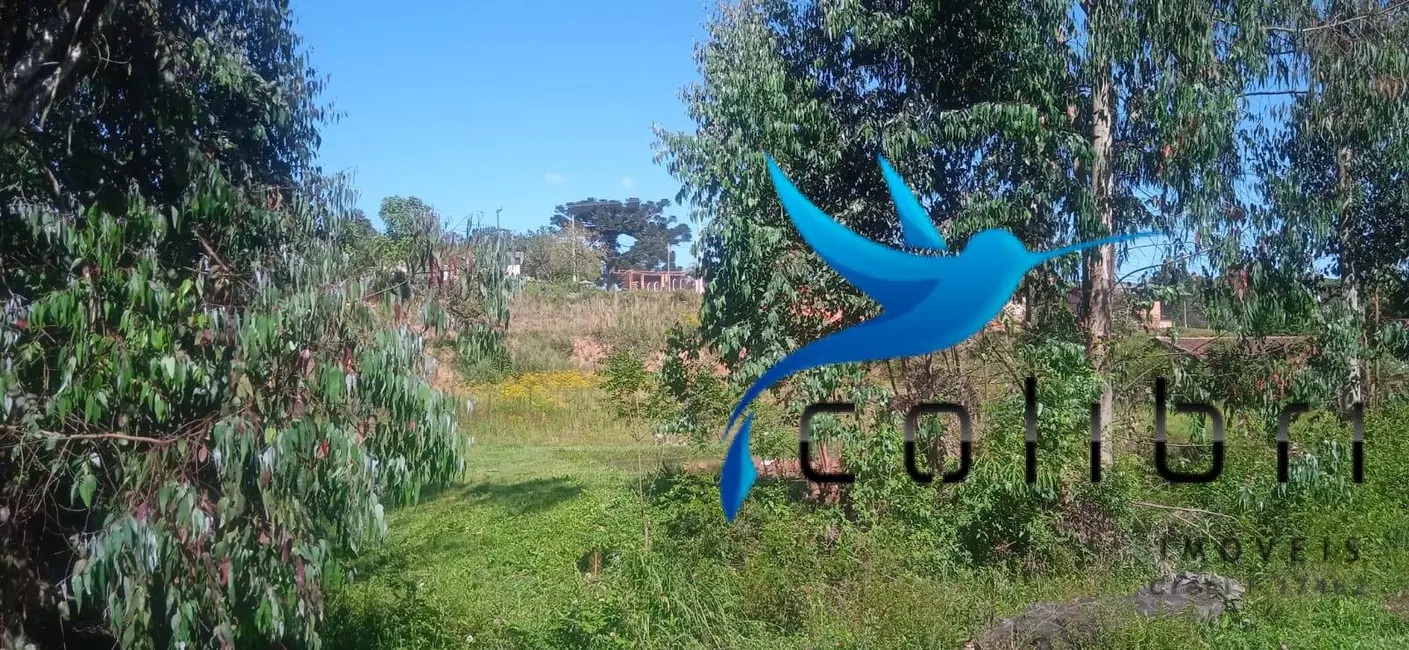 Foto 9 de Chácara com 3 quartos à venda, 10300m2 em Quitandinha - PR