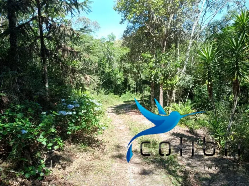 Foto 6 de Chácara com 2 quartos à venda, 31550m2 em Agudos Do Sul - PR