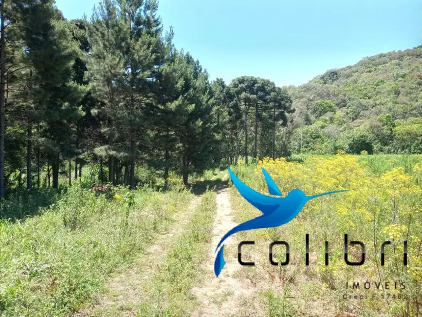 Foto 4 de Chácara com 2 quartos à venda, 31550m2 em Agudos Do Sul - PR