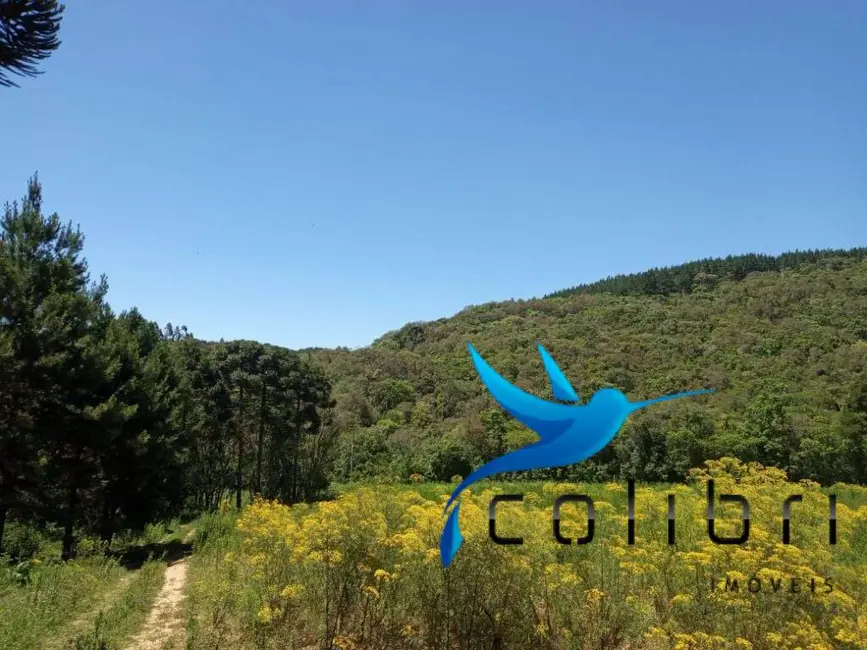 Foto 3 de Chácara com 2 quartos à venda, 31550m2 em Agudos Do Sul - PR