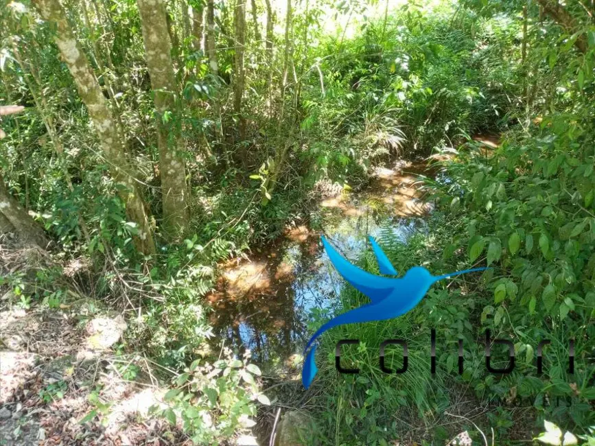 Foto 5 de Chácara com 2 quartos à venda, 31550m2 em Agudos Do Sul - PR