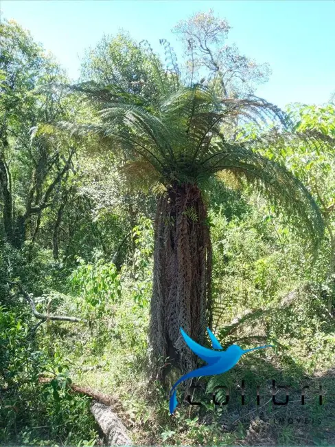 Foto 8 de Chácara com 2 quartos à venda, 31550m2 em Agudos Do Sul - PR
