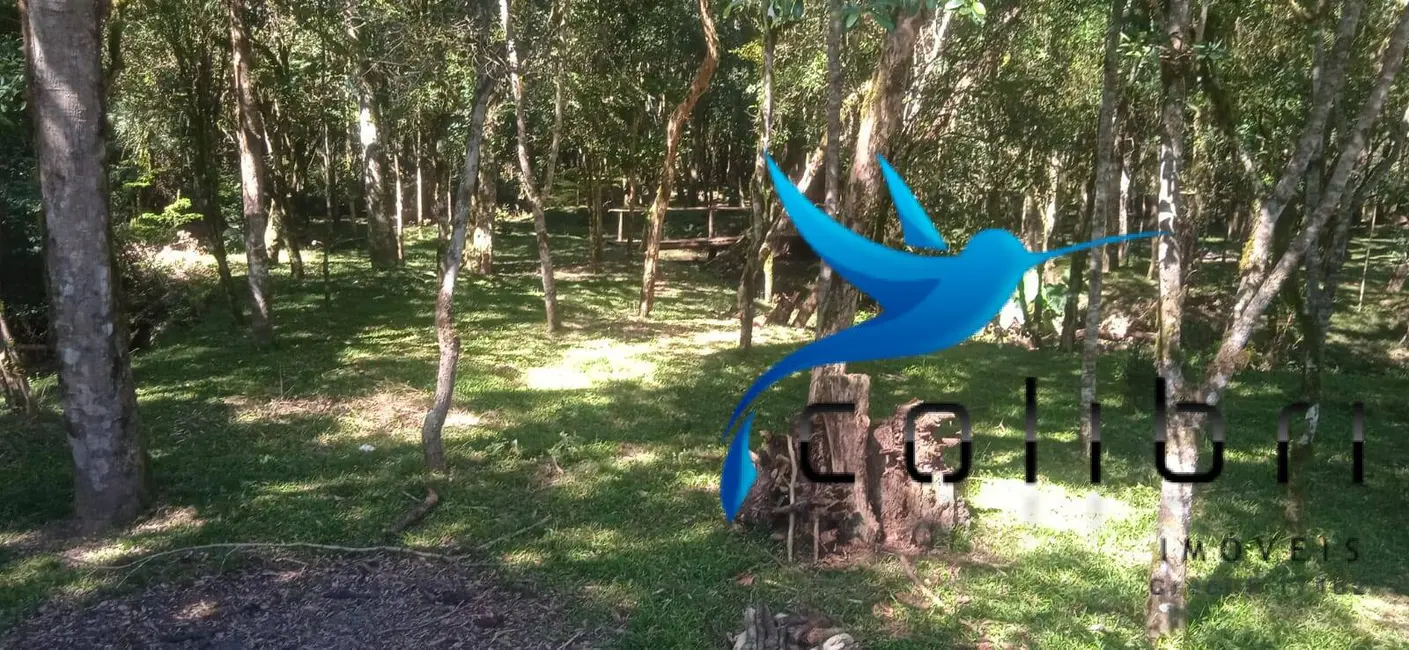 Foto 9 de Chácara com 3 quartos à venda, 13792m2 em Agudos Do Sul - PR