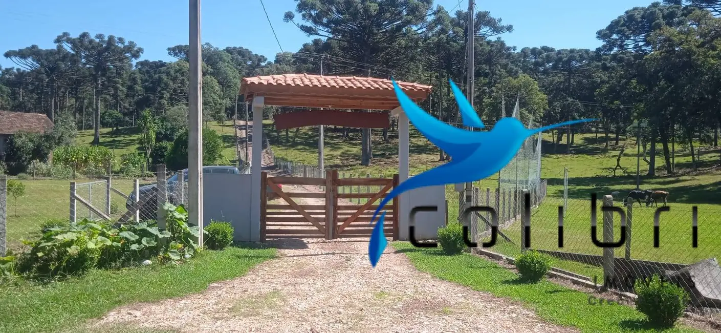 Foto 7 de Chácara com 3 quartos à venda, 13792m2 em Agudos Do Sul - PR