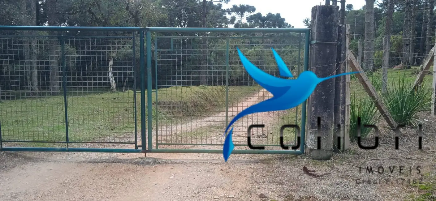 Foto 5 de Chácara com 1 quarto à venda, 89620m2 em Agudos Do Sul - PR