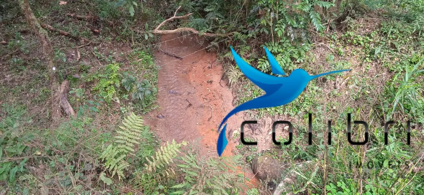 Foto 9 de Chácara com 1 quarto à venda, 89620m2 em Agudos Do Sul - PR