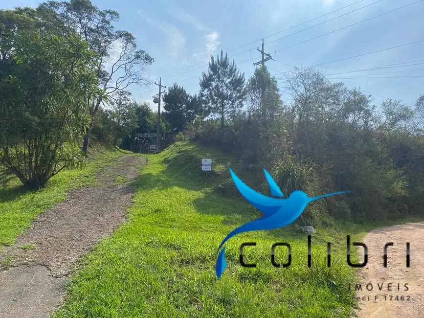 Terreno / Lote à venda, 730m2 em Quatro Pinheiros, Mandirituba - PR - imagem 4 Foto 4 de Terreno / Lote à venda, 730m2 em Quatro Pinheiros, Mandirituba - PR