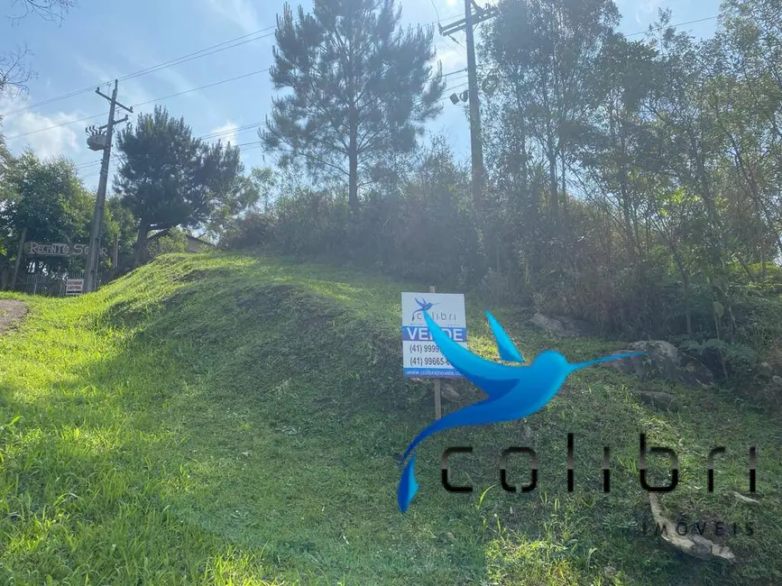 Terreno / Lote à venda, 730m2 em Quatro Pinheiros, Mandirituba - PR - imagem 3 Foto 3 de Terreno / Lote à venda, 730m2 em Quatro Pinheiros, Mandirituba - PR