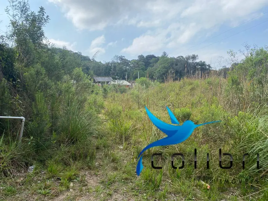 Terreno / Lote à venda, 730m2 em Quatro Pinheiros, Mandirituba - PR - imagem 7 Foto 7 de Terreno / Lote à venda, 730m2 em Quatro Pinheiros, Mandirituba - PR