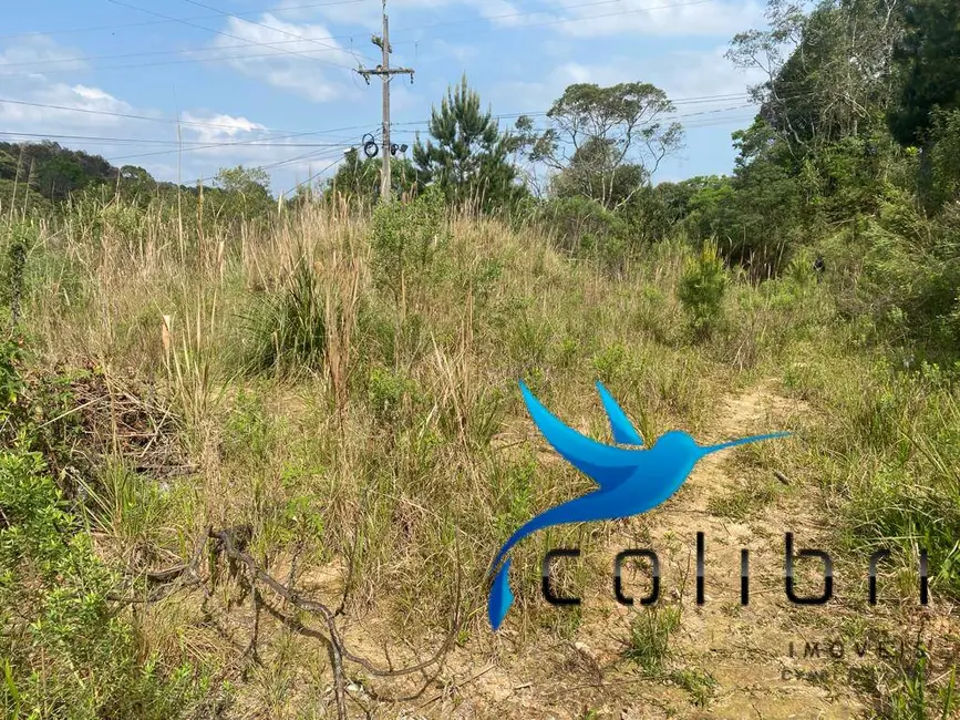 Terreno / Lote à venda, 730m2 em Quatro Pinheiros, Mandirituba - PR - imagem 8 Foto 8 de Terreno / Lote à venda, 730m2 em Quatro Pinheiros, Mandirituba - PR