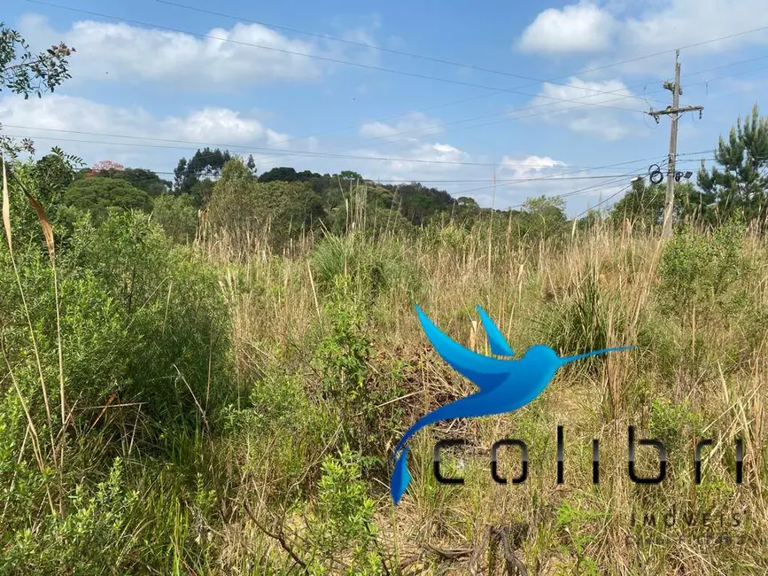 Terreno / Lote à venda, 730m2 em Quatro Pinheiros, Mandirituba - PR - imagem 6 Foto 6 de Terreno / Lote à venda, 730m2 em Quatro Pinheiros, Mandirituba - PR