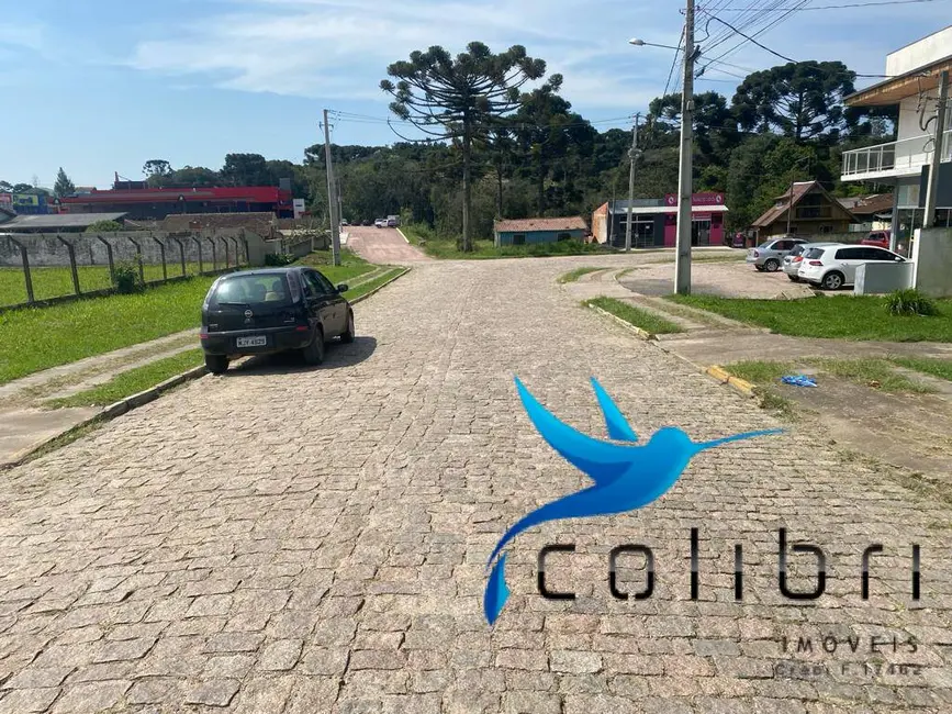 Foto 7 de Casa com 3 quartos à venda, 693m2 em Centro, Tijucas Do Sul - PR