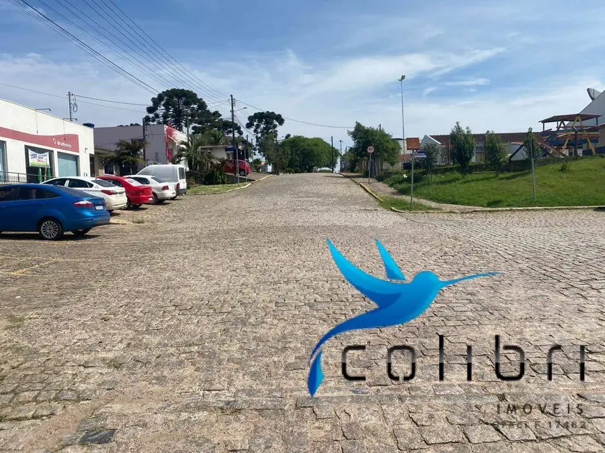 Foto 6 de Casa com 3 quartos à venda, 693m2 em Centro, Tijucas Do Sul - PR